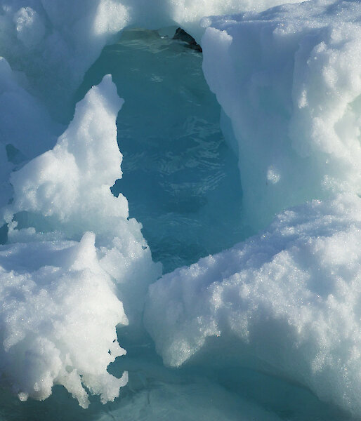 Close-up of ice floe with blue ice