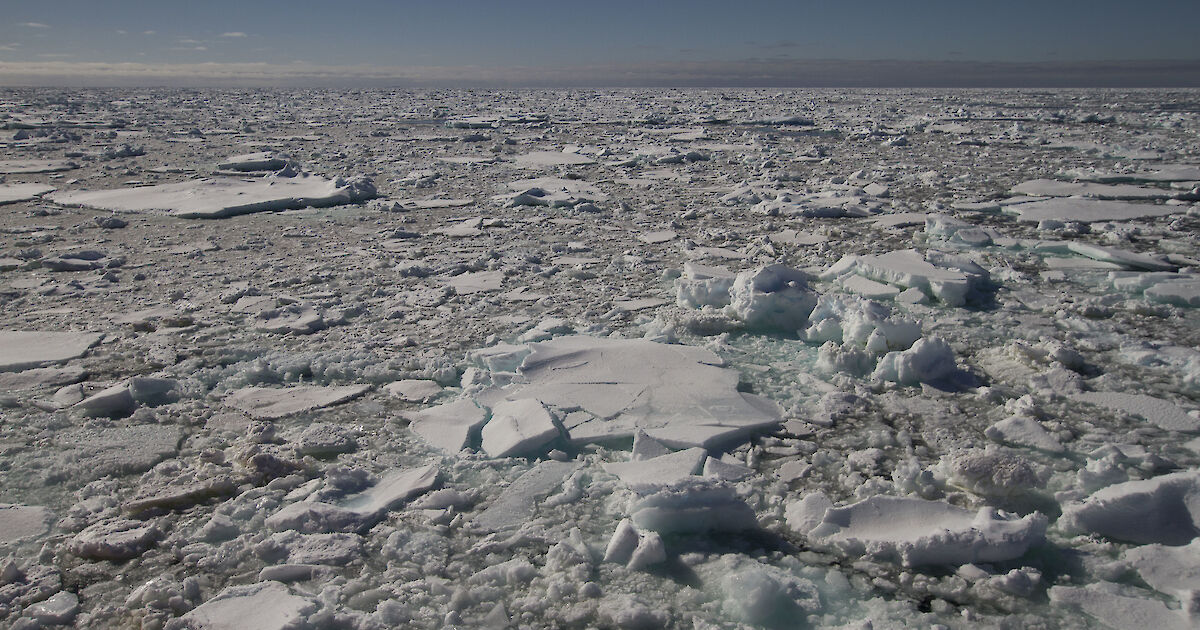 Brash ice Australian Antarctic Program