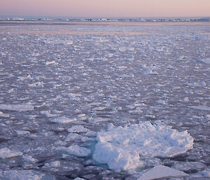 Brash ice at sunrise