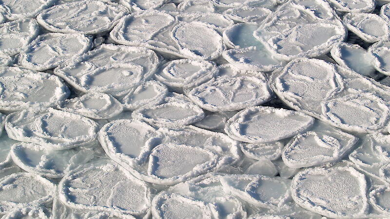 Pancake ice in the Southern Ocean taken from above