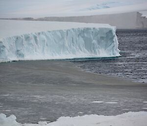 A large iceberg in background with water in foreground which shows grease ice forming