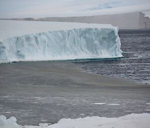 A large iceberg in background with water in foreground which shows grease ice forming