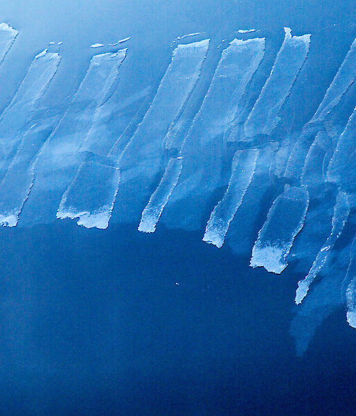 Fingers of thin nilas ice covering dark blue water viewed from the air