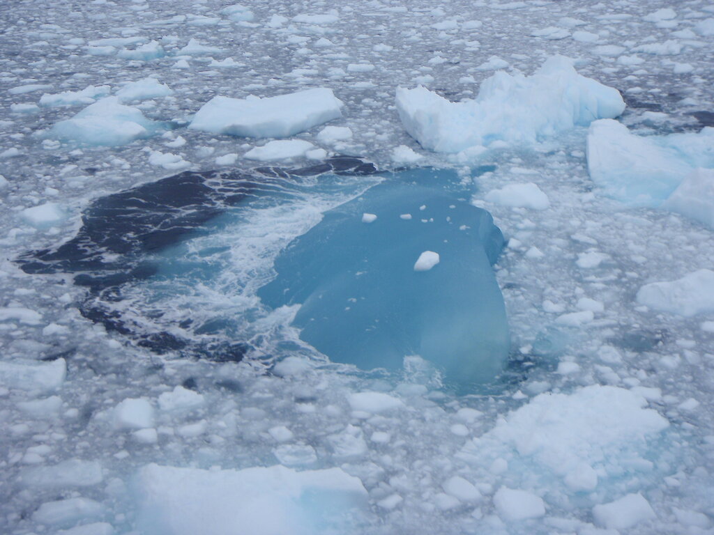 Development of sea ice — Australian Antarctic Program