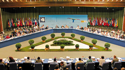 Members of Treaty Parties meeting in a large building decorated with Treaty countries’ flags.