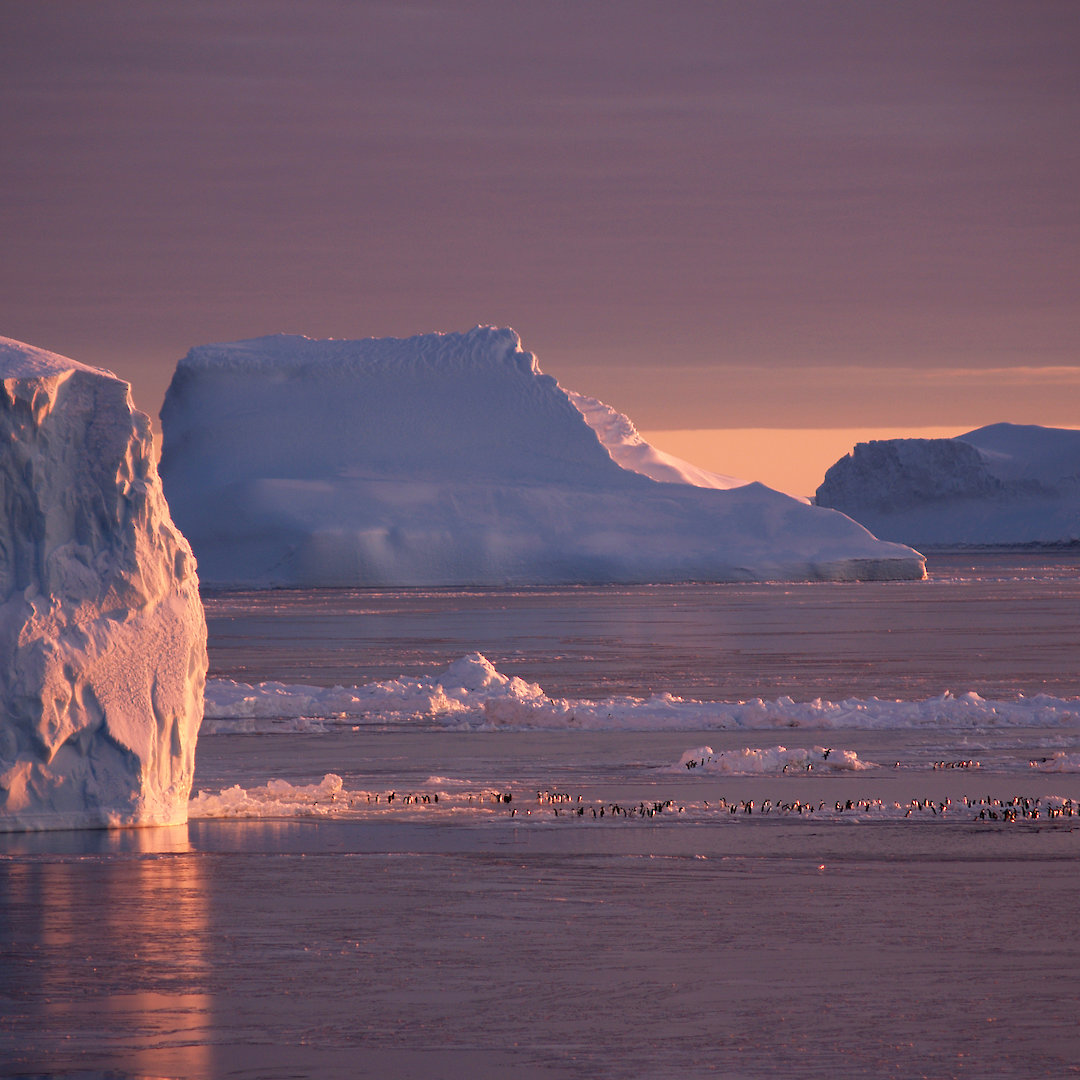 Illegal, unreported and unregulated (IUU) fishing — Australian Antarctic Program