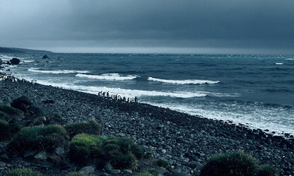 Australia’s fisheries in the Heard Island and McDonald Islands region