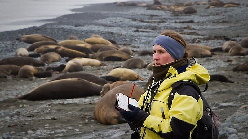 Expeditioner counting seals