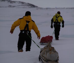 Davis expeditioners man-hauling