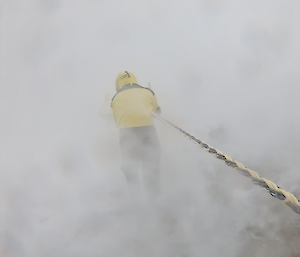 Expeditioner holding onto to a rope line during blizzard
