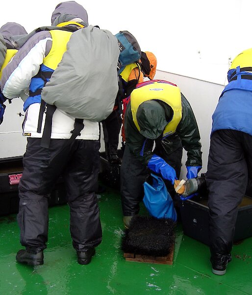 Tourists scrub the soles of their boots.