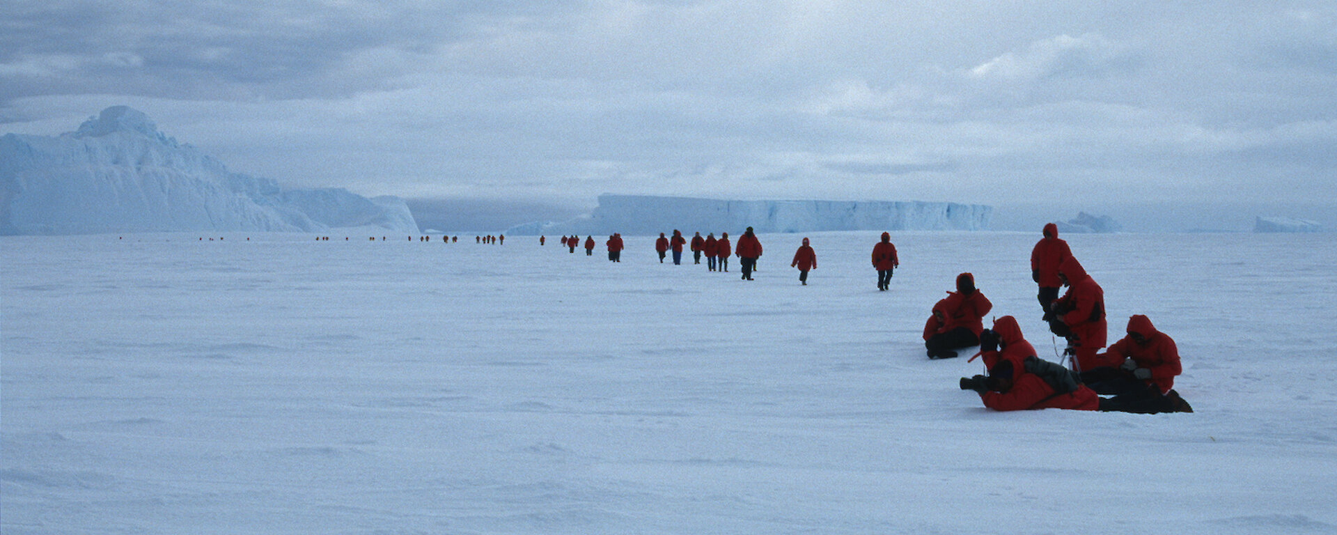 With nothing but white visible, and tall glaciers either side, a line of tourists wearing similar coats walk into the distance.