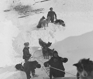 Expeditioners with huskies