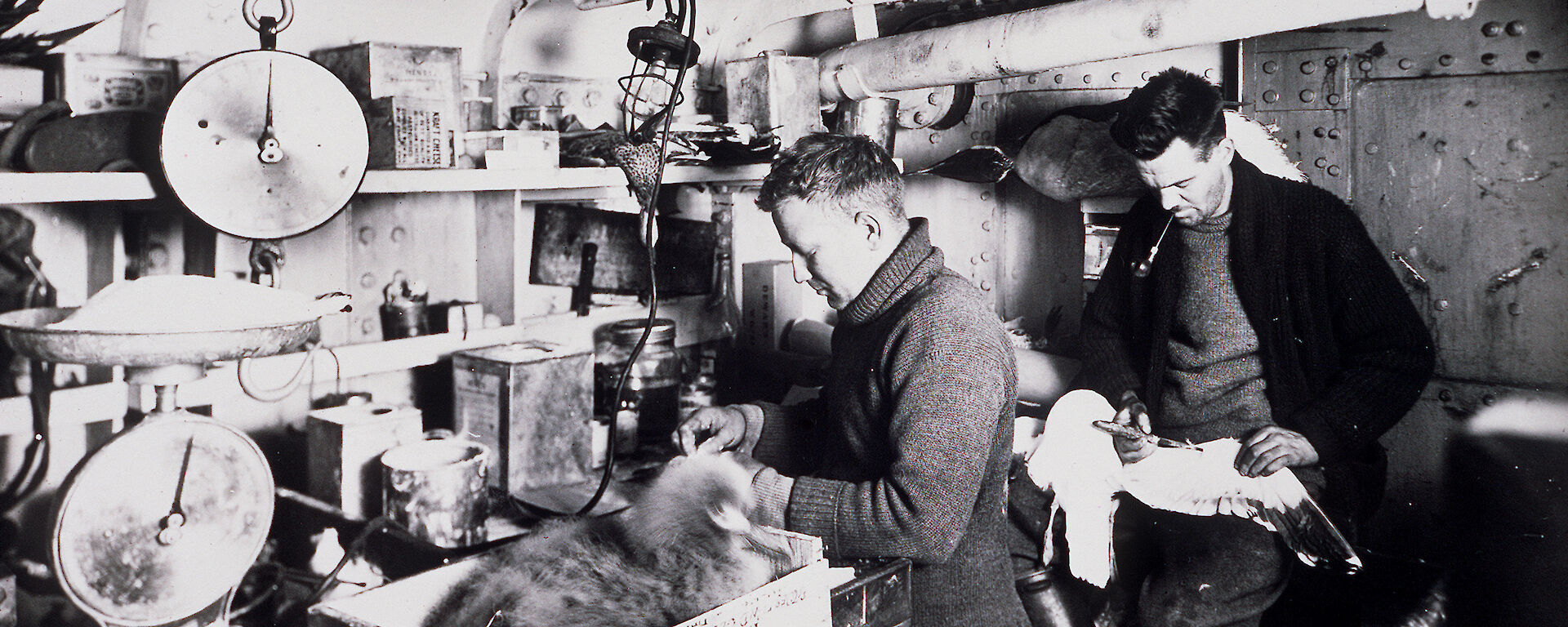 A vintage photo of 2 men preparing bird specimens and other scientific samples