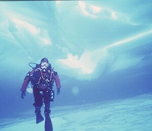 Diver in Antarctic waters
