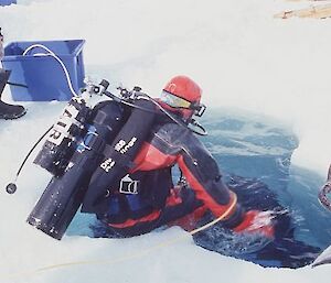 Antarctic diver getting into water