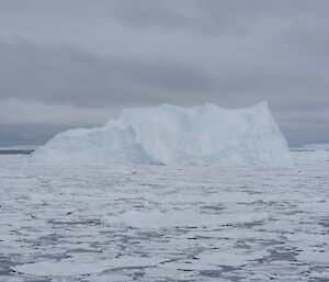 Icebergs in the Marginal Ice Zone