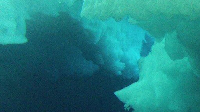 An underwater image of a minke whale with the white ice above it.