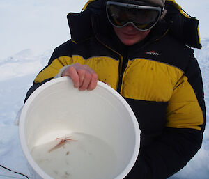 Rob holding a bucket with squid in it.