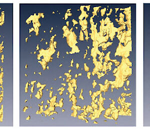 X-ray computed tomography images of brine pockets in the sea ice (left) which merge to form brine channels (right) at a tipping point of temperature, salinity and brine volume fraction. In columnar ice this tipping point follows the ‘rule of fives’; −5°C, 5 parts per thousand and 5%, respectively. Ken Golden’s team was the first to study sea ice structure in this way. (Hajo Eicken, Daniel Pringle, Jeremy Miner, and Ken Golden)