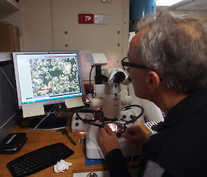 A man sits at a microscope with the image appearing on a computer screen