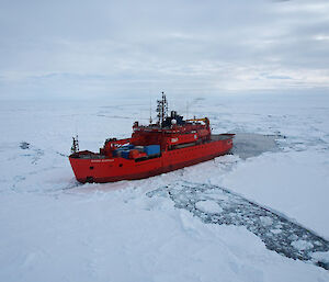 The Aurora Australis parked beside an ice floe (Photo: Wendy Pyper)