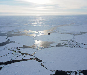 Ship in the sea ice (Photo: Wendy Pyper)