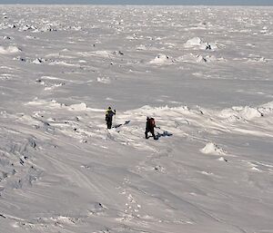 Dr Klaus Meiners and Field Training Officer Chris Gallagher check conditions on the ice floe before the rest of the scientific team disembarks (Photo: Wendy Pyper)