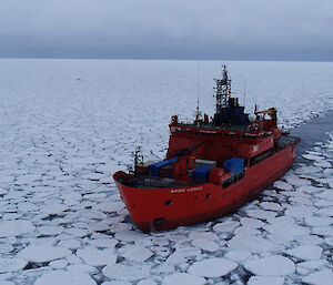 The ship in pancake ice, taken from the helicopter during accelerometer deployment (Photo: Chris Gallagher)