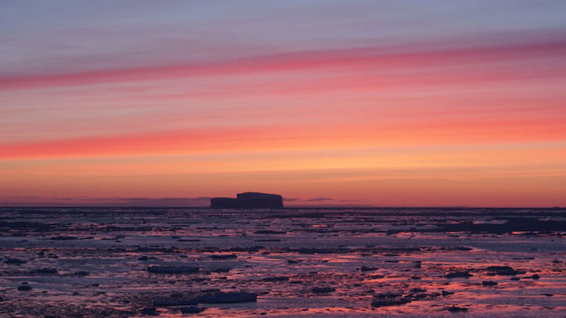 Stunning sunrise over sea ice (Photo: Wendy Pyper)