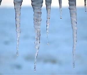 Close-up of ice that appears like stalactites