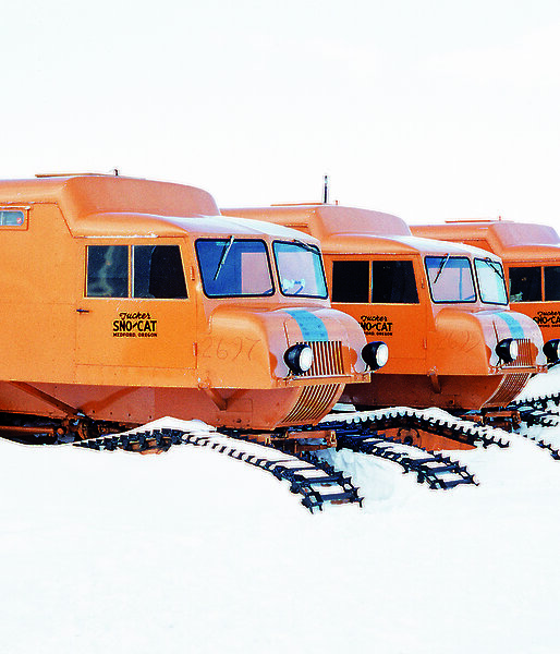 Orange oversnow vehicles in a line.
