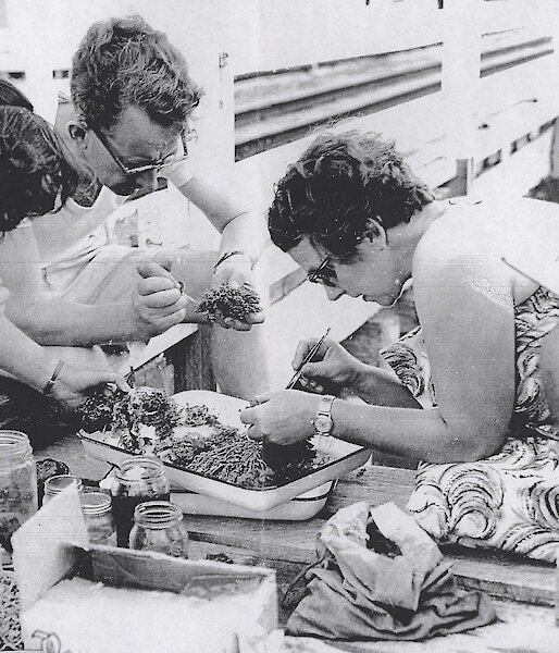 Three scientists sorting marine specimens