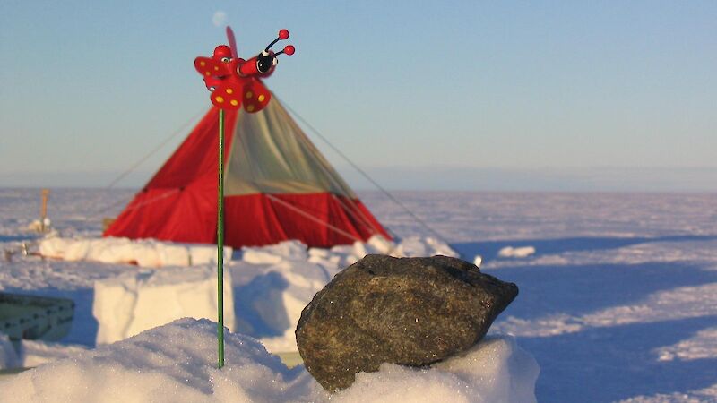 An orange tent in the snow.