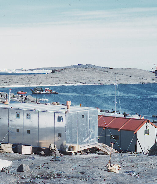The Thala Dan at Mawson in 1960