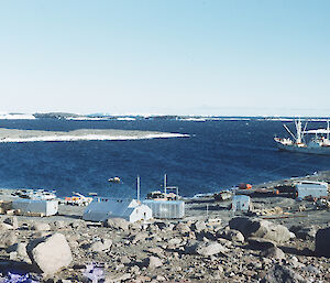 Ship in harbour near Mawson station