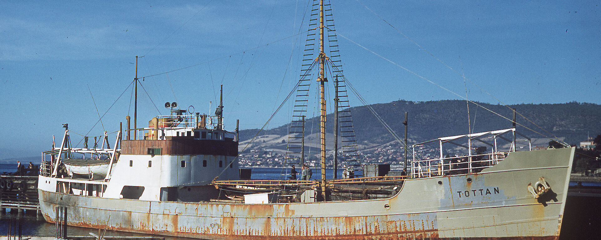 Tottan at Hobart after returning from Macquarie Island, April 1952