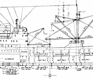 Thala Dan plans — side view