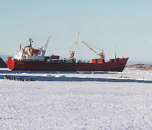 Lady Franklin, Davis, Vestfold Hills