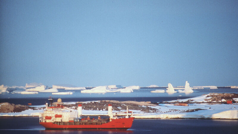 Icebird at Davis, 1993