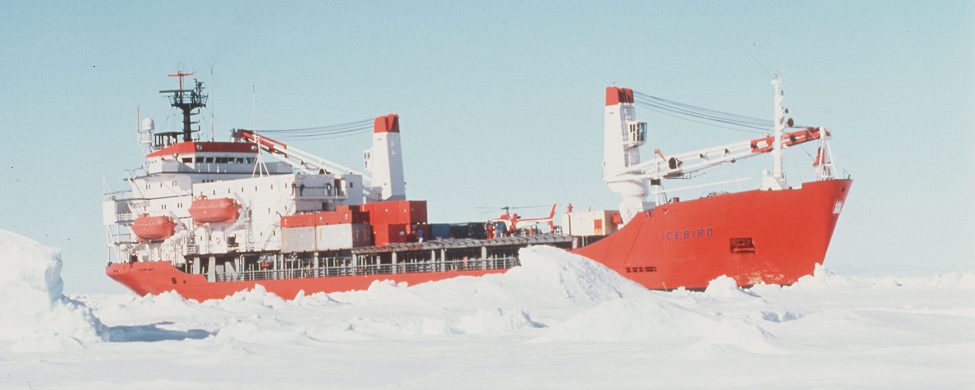 Icebird near Casey, 1993