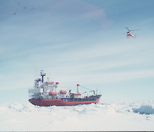 Icebird and helicopter near Casey, 1993