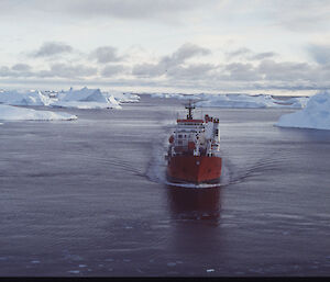 Icebird near Casey, 1993