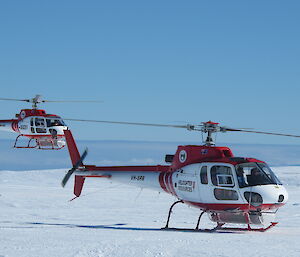 Flying and landed Squirrel AS 350s at Davis