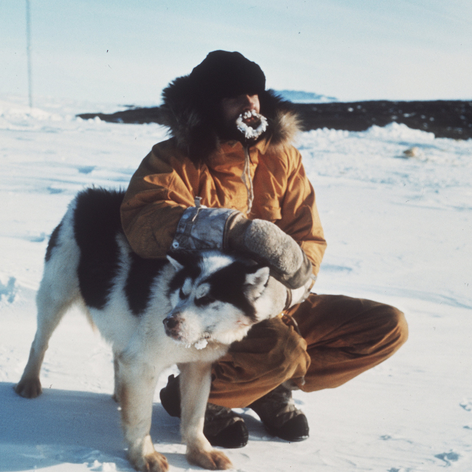 Huskies photo gallery — Australian Antarctic Program