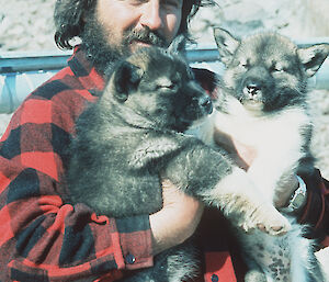An expeditioner holds two large husky pups