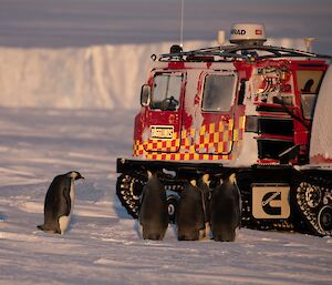 A group of penguins stand on ice next to a large red oversnow vehicle.