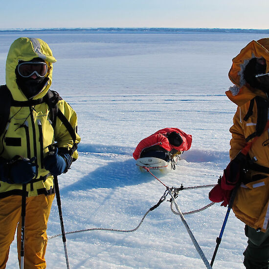 Teamwork with sleds