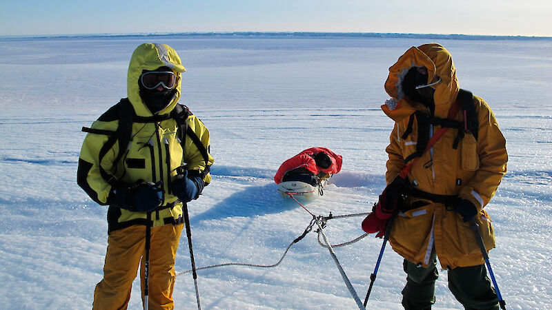 Teamwork with sleds