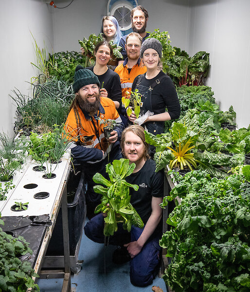 Group of expeditioners in the hydroponics shed with produce
